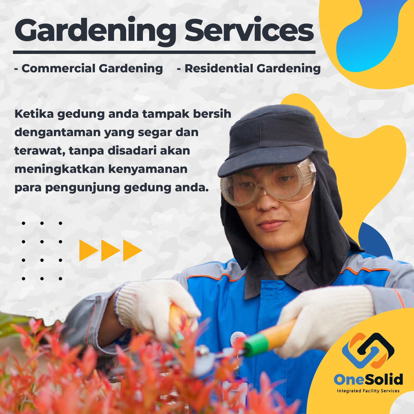Service-Image